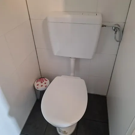 Guests * Ludwigsbourg